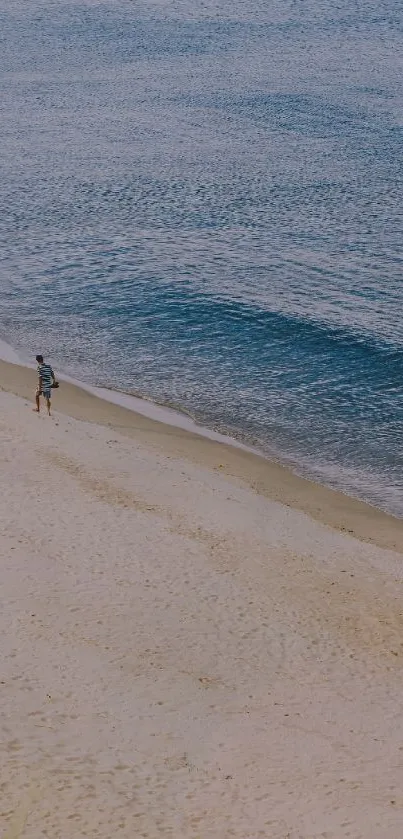 Two people walking along a serene sandy beach beside gentle waves.