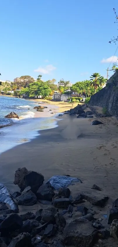 Serene beach wallpaper with sand, rocks, and lush greenery under clear blue skies.