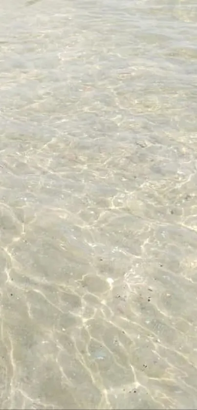 Clear sunlight reflecting on tranquil beach waters.