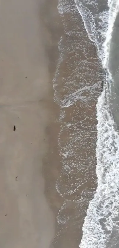 Aerial view of serene beach with gentle waves and sandy shore.