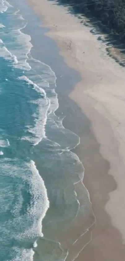 Aerial view of serene beach waves and sandy shore.