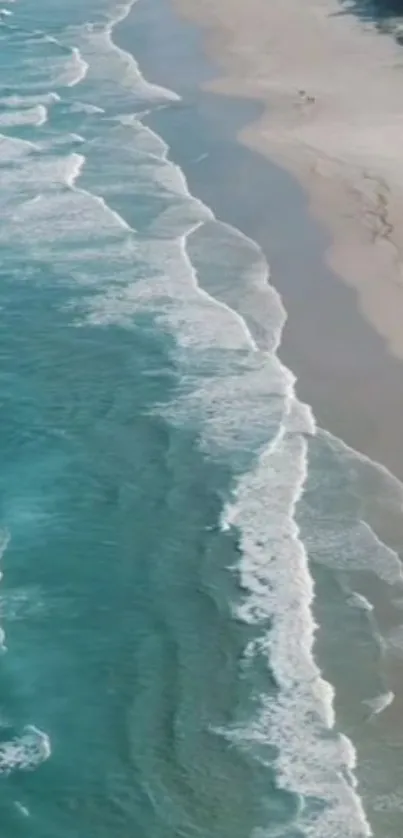 Aerial view of turquoise beach waves on a sandy coast.