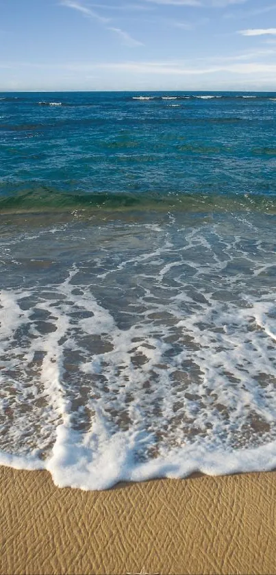 Serene beach waves and seashells on sandy shore wallpaper.