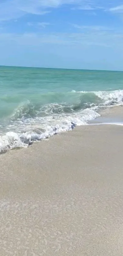 Serene beach with gentle waves on a sunny day.