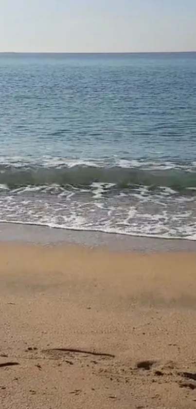 Calm beach with gentle waves and sandy shore background.