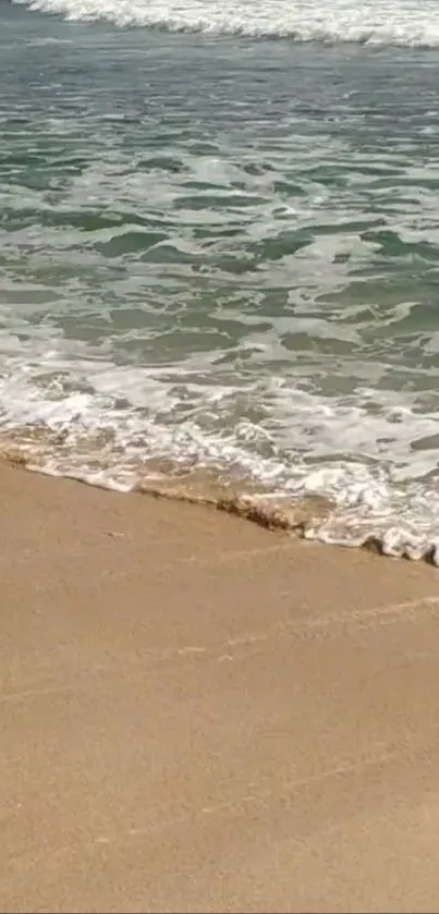 Serene beach with gentle waves on a sunny day.