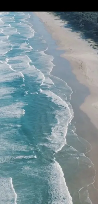 Aerial view of a serene beach with gentle ocean waves and sandy shores.