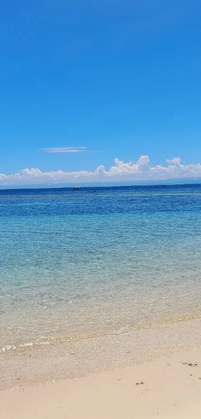 Tropical beach with clear blue sky and ocean waves.