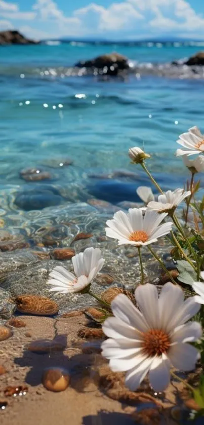 Beach with daisy flowers by clear blue water under a bright sky.