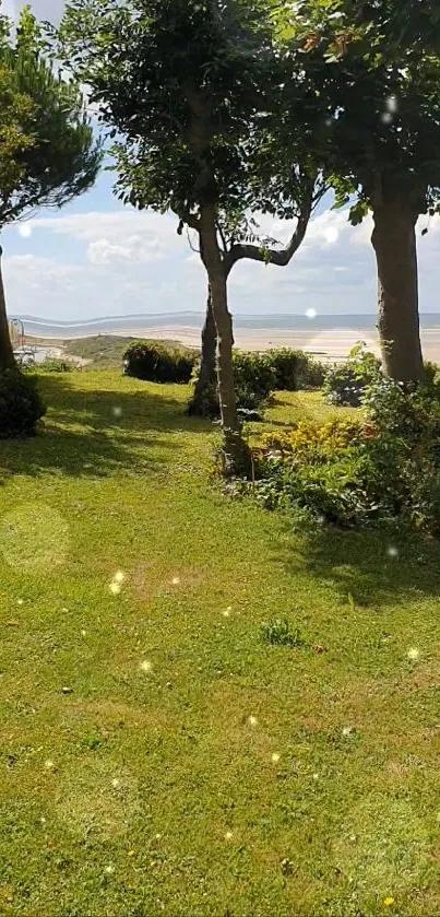 Lush green park with beach view under clear skies.