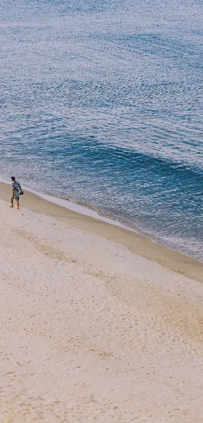 Serene beach scene with gentle waves and sandy shore.