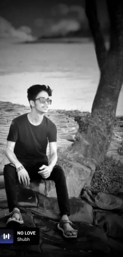 Monochrome wallpaper of person sitting under a tree at the beach.