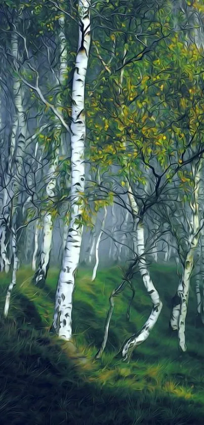 Misty forest with birch trees and green foliage, creating a serene view.