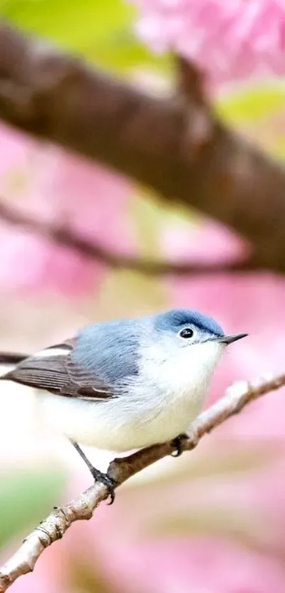 Bird perched on a branch amidst pink cherry blossoms.