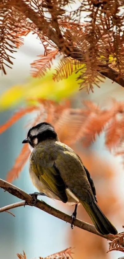 A bird perched on an autumn branch with colorful leaves.