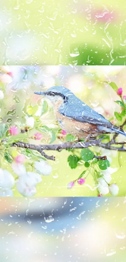 A blue bird perched on a blossoming branch with a light green background.