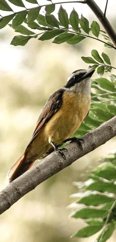 Bird perched on a leafy branch.