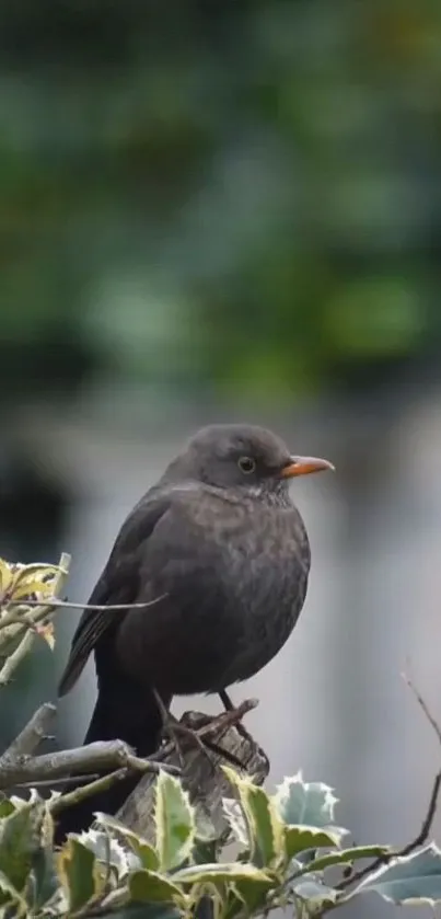Bird perched on lush green branches with blurred background.