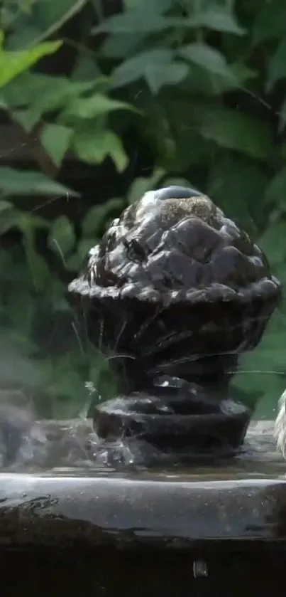 A peaceful birdbath scene in a lush green garden setting.