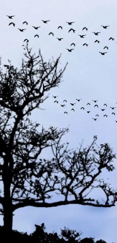 Silhouette of tree with birds flying in a blue sky wallpaper.