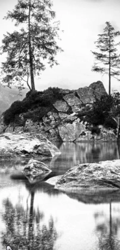 Black and white landscape with trees and water reflection.