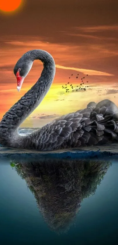 Black swan on sunset lake with vibrant sky.