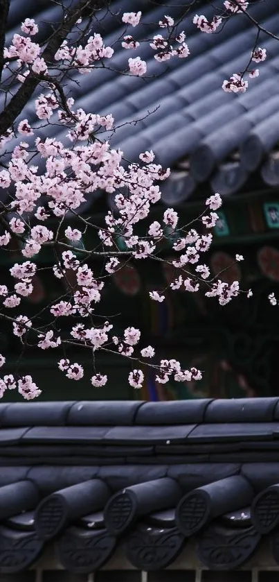 Pink blossoms and dark traditional rooftop.