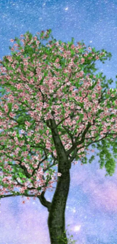 Blooming tree under starlit sky wallpaper