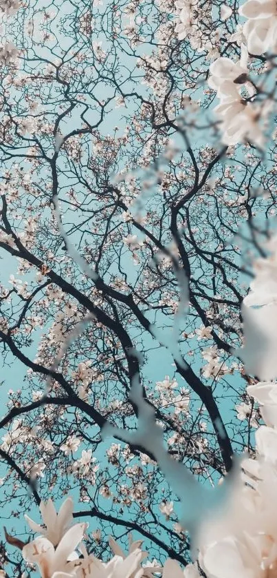 White blossoms against a sky blue backdrop, creating a serene view.