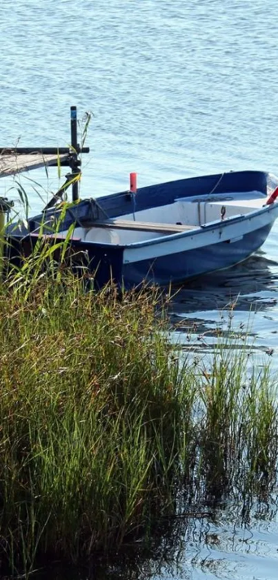 Serene mobile wallpaper with a blue boat on a calm lake.