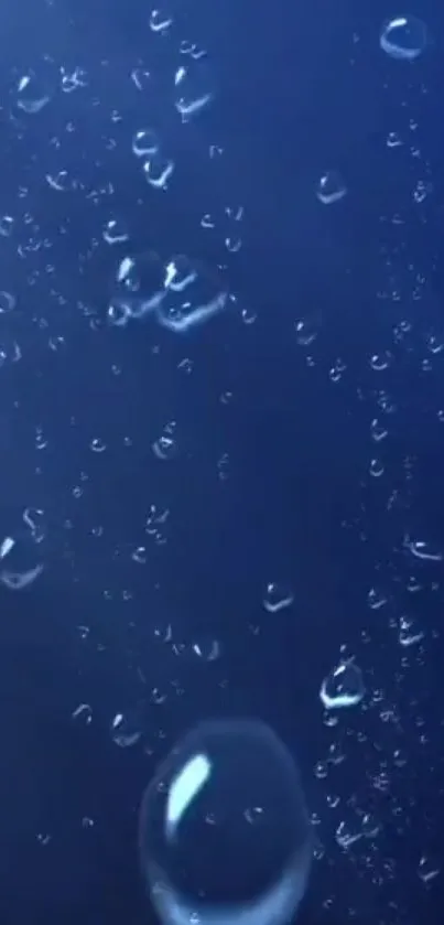 Floating water bubbles on a deep blue background.