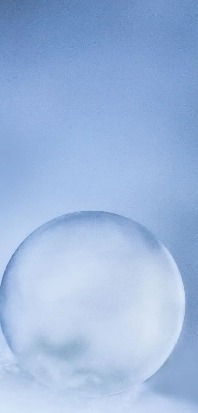 Serene light blue bubble wallpaper with a soft focus design.