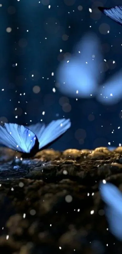 Serene blue butterflies on a dark background with sparkling lights.