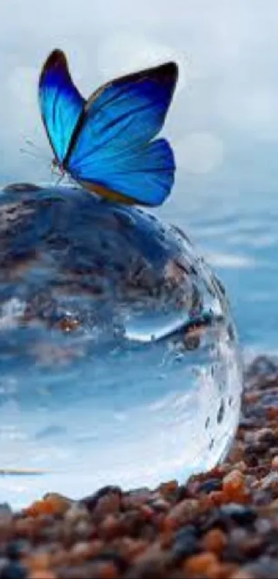 Beautiful blue butterfly on a glass orb by a pebbled shore with a serene backdrop.