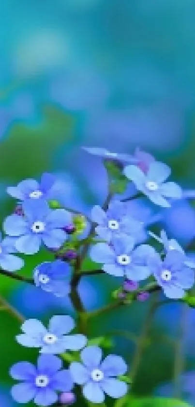 A blue floral wallpaper with a yellow butterfly on purple flowers.