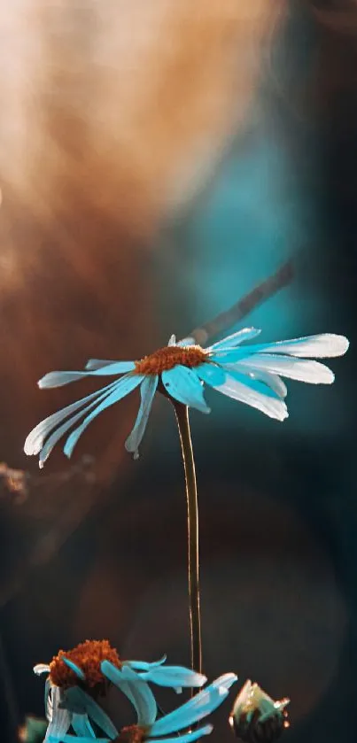 Blue flower in soft-focus light as phone wallpaper.