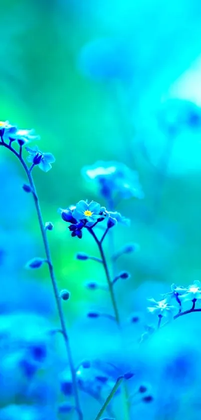 Blue and green floral mobile wallpaper with serene design.