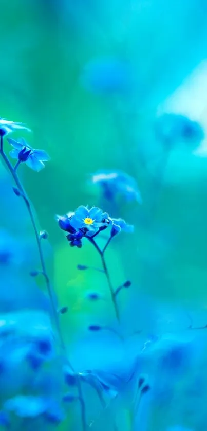 Serene blue flowers create a calming mobile wallpaper aesthetic.