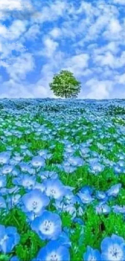 Field of blue flowers under a cloudy sky with a lone tree.