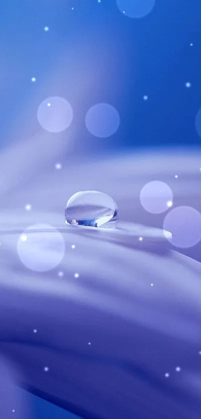 Close-up of a blue flower with a water droplet on petals.