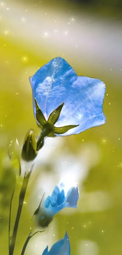 Blue flower with olive green background mobile wallpaper.