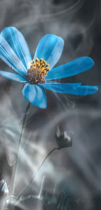 Blue flower with misty background, serene wallpaper.