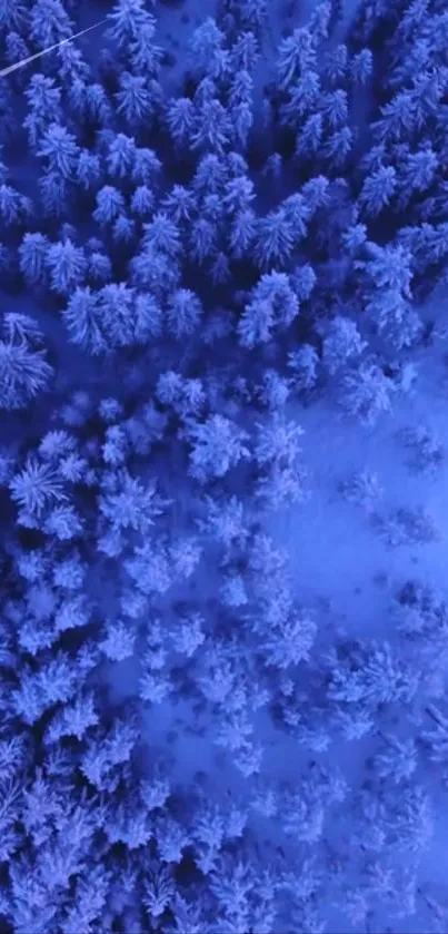 Aerial view of a blue snow-covered forest.