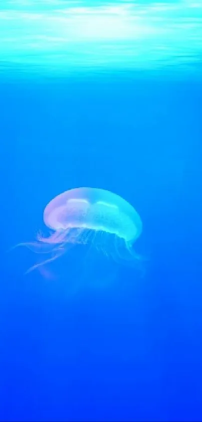 Blue ocean wallpaper with a tranquil jellyfish.