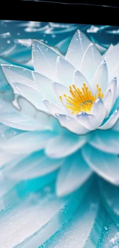 Serene cerulean blue lotus flower wallpaper.