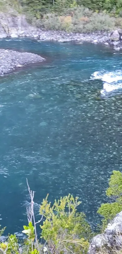 Serene blue river with lush greenery and scenic rocks.