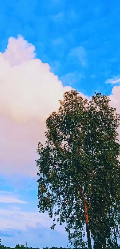 Serene blue sky with tree wallpaper.