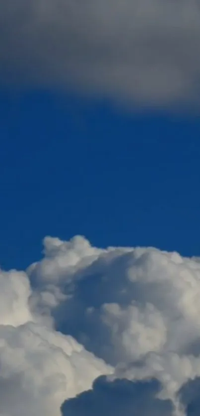 Mobile wallpaper of fluffy clouds against a vibrant blue sky.