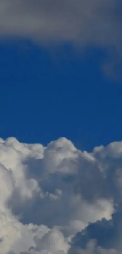 Blue sky with fluffy white clouds wallpaper.