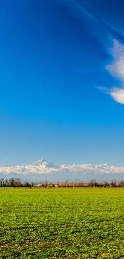 Vibrant wallpaper of a clear blue sky and green field with fluffy white clouds.